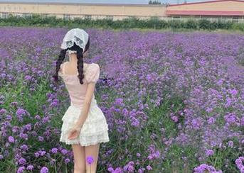 今天的免费大瓜：只在吃瓜网等你来揭晓！