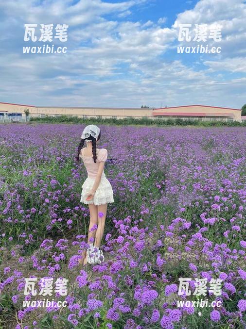 今天的免费大瓜：只在吃瓜网等你来揭晓！