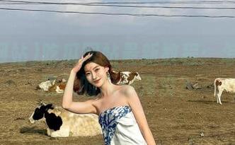 吃瓜网站最新教程：怎样不被漫天的瓜渣淹没？