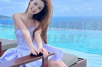 明星黑料线路探险！今天又有哪个小可爱上热搜了？
